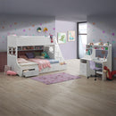 Meyer - Twin Over Full Bunk Bed - White - Atlantic Fine Furniture Inc