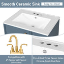 Bathroom Vanity With Sink, Deep Drawer, Door Shelf, 2 Tier Basket