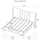 Evelyn - Upholstered Panel Platform Bed