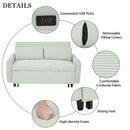 Pull-Out 2 Seat Modern Sleeper Sofa With 2 Throw Pillows And USB Ports
