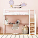 Loft Bed With Desk And Grid, Stylish Frame With Lateral Storage Ladder And Wardrobe