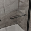 Goodyo - Double Sliding Bathtub Shower Door With Sgcc Clear Tempered Glass