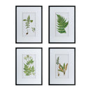 Botanical And Fern Wall Art, Wall Decor For Living Room Dining Room Entryway (Set of 4) - White / Black