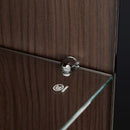 Modern Minimalist Tall Lighted Display Cabinet With Tempered Glass Door - Black / Dark Walnut