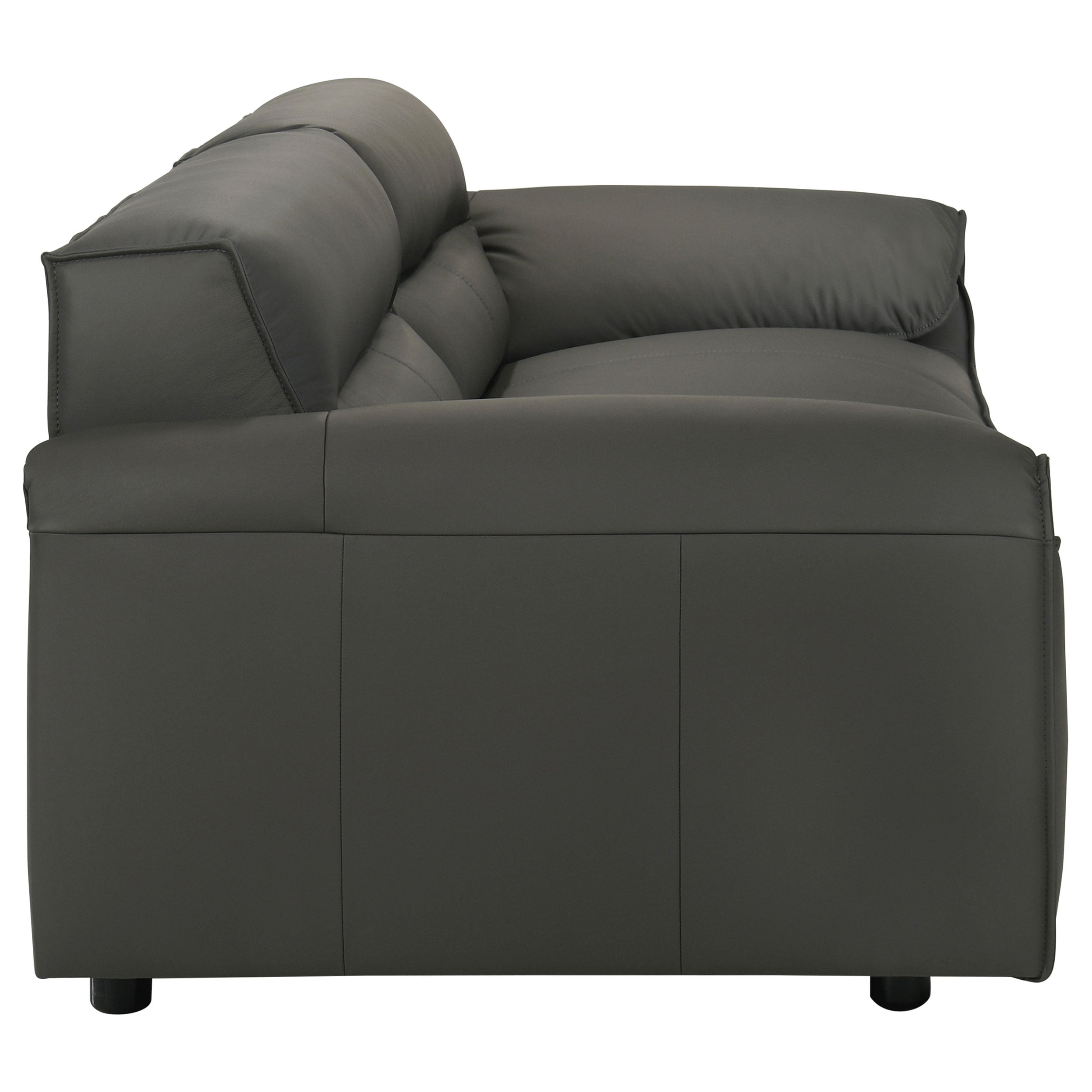 Buxton 2-piece Leather Upholstered Sofa Set Graphite — view 6