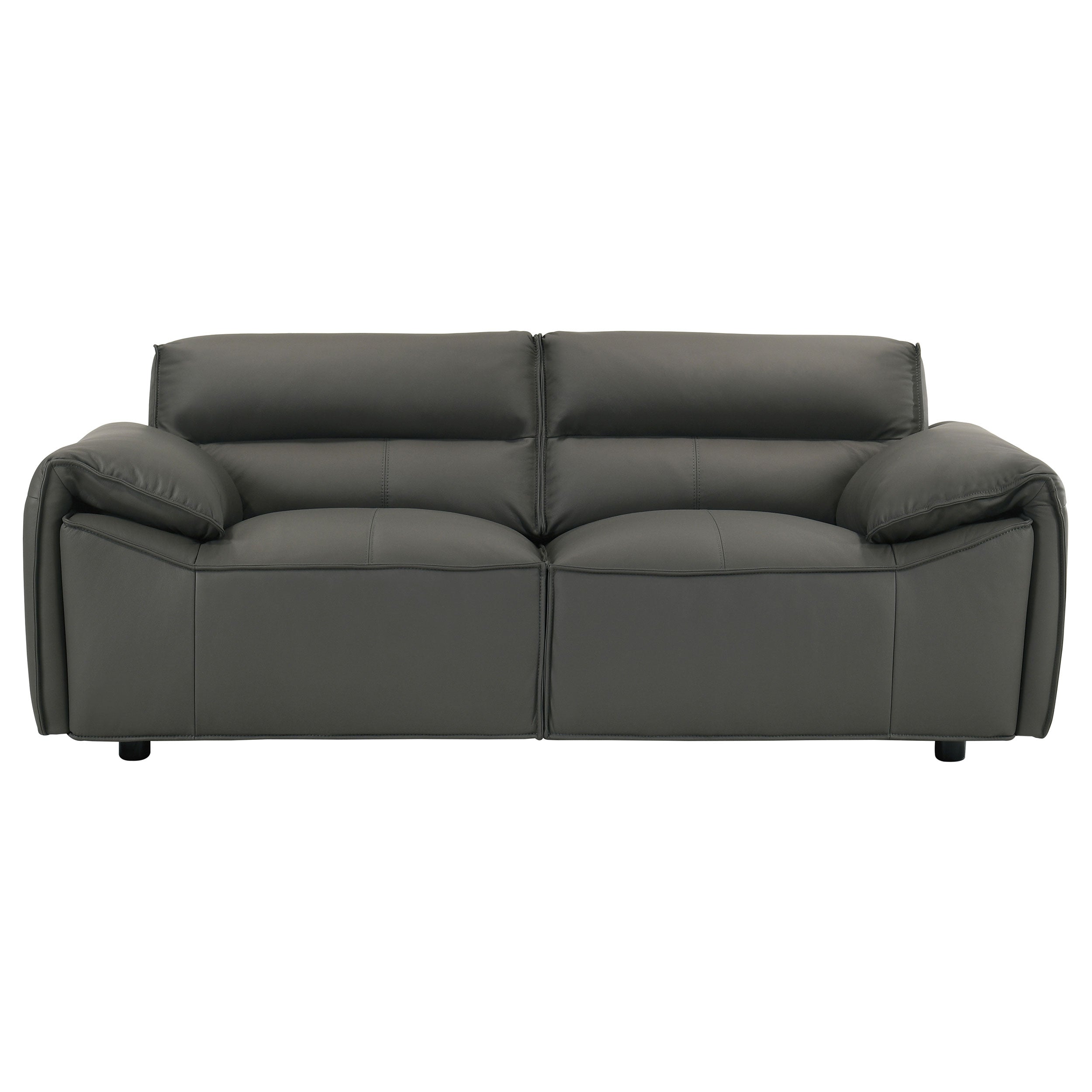 Buxton 2-piece Leather Upholstered Sofa Set Graphite — view 9