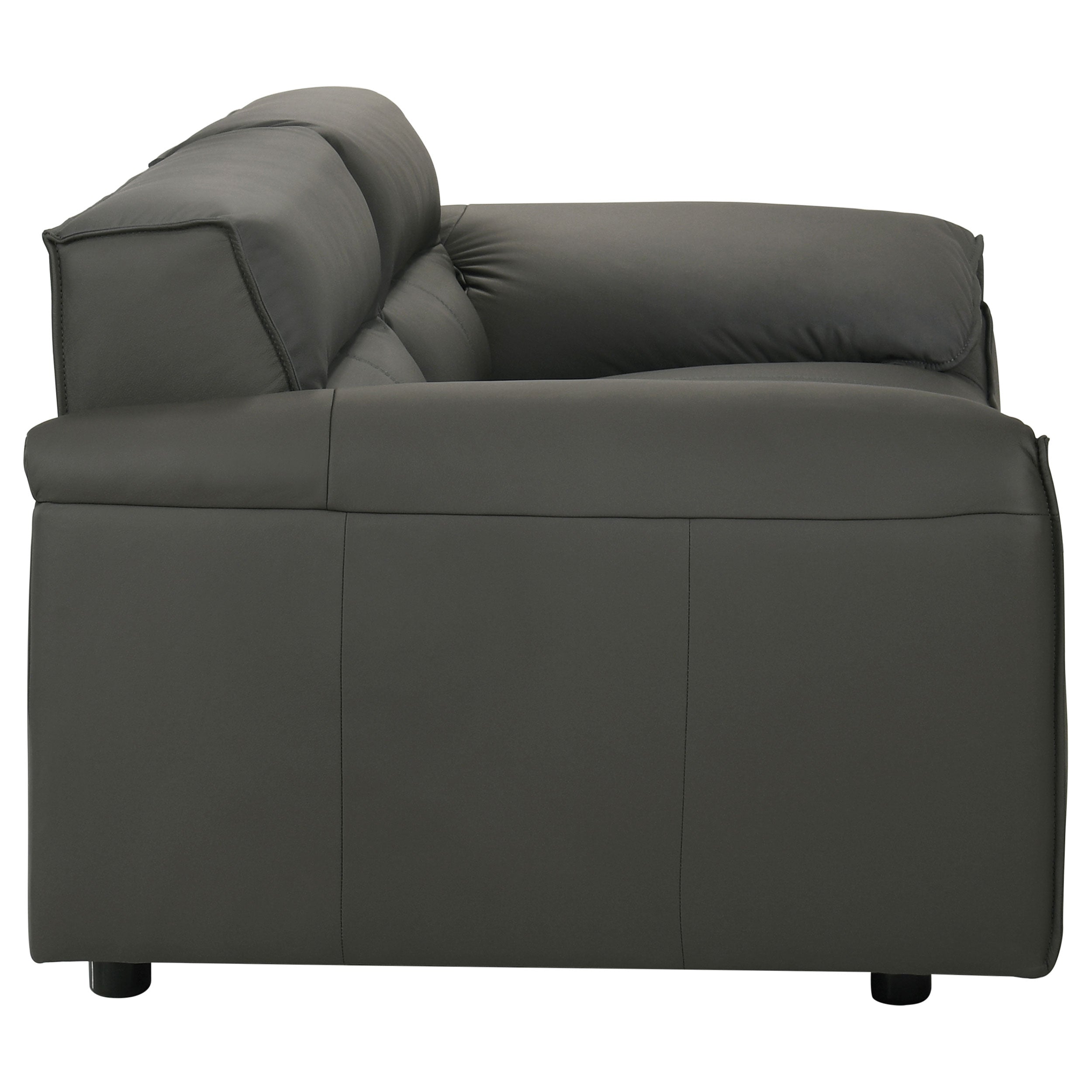 Buxton 2-piece Leather Upholstered Sofa Set Graphite — view 11