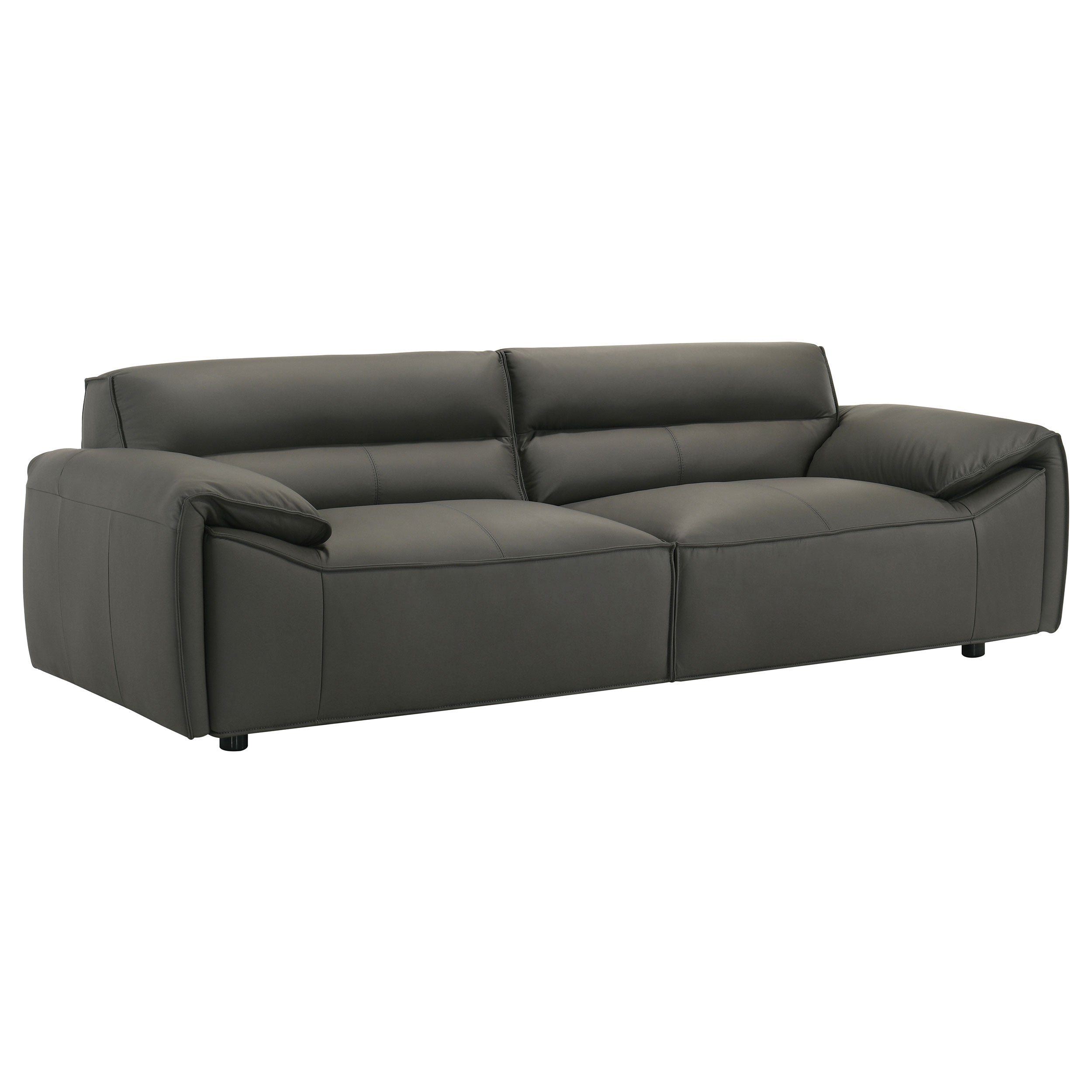 Buxton Top Grain Leather Upholstered Sofa Graphite — view 1