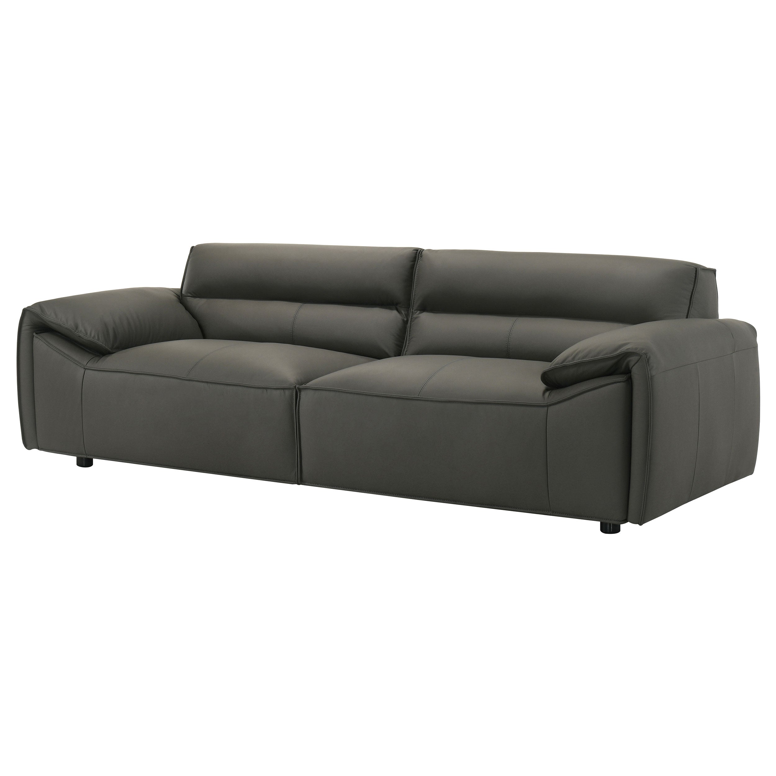 Buxton Top Grain Leather Upholstered Sofa Graphite — view 4