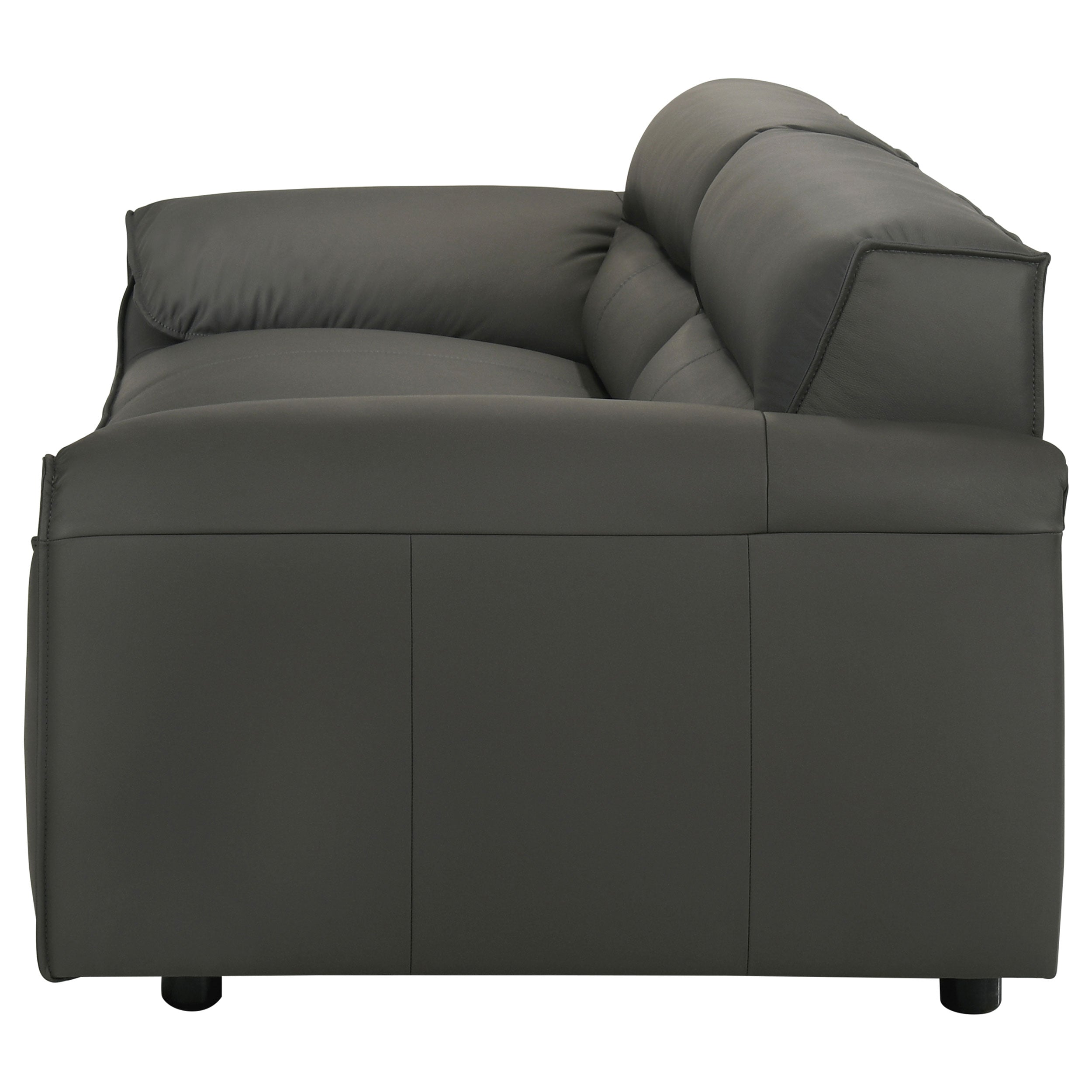 Buxton Top Grain Leather Upholstered Sofa Graphite — view 5
