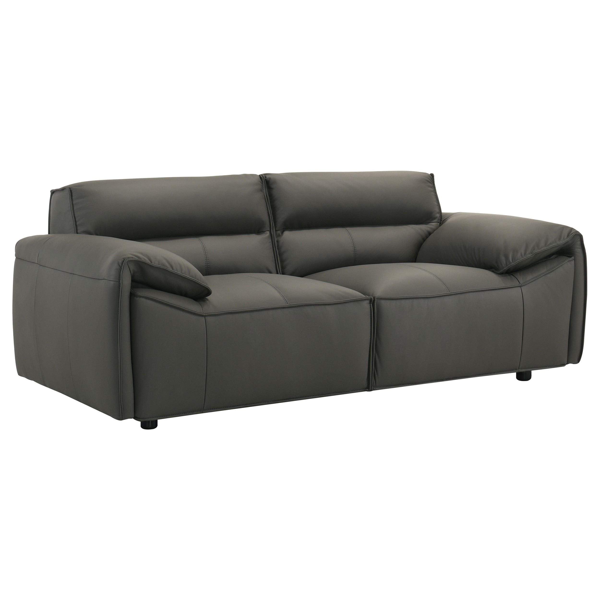 Buxton Top Grain Leather Upholstered Loveseat Graphite — view 1
