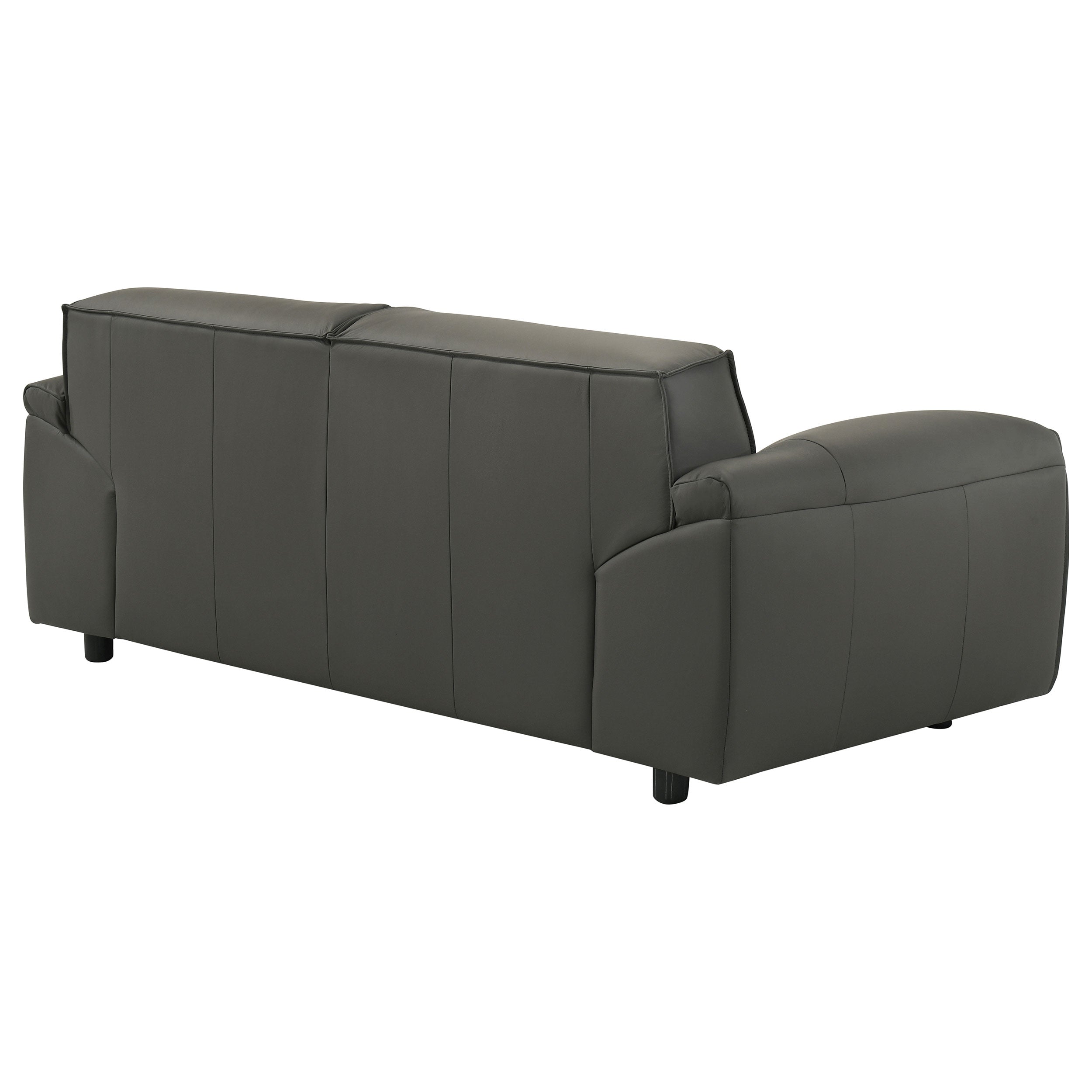 Buxton Top Grain Leather Upholstered Loveseat Graphite — view 8