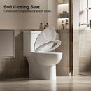 1 Piece Toilet With Tornado Flush, Soft Closing Seat