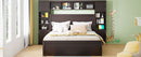 Bed With All In One Cabinet, Shelf And Sockets, Twin Long Trundle