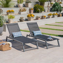 Myers - Modern Chaise Lounge Set With Adjustable Mesh Back