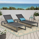 Outdoor Nylon Mesh Chaise Lounge, (Set of 2)