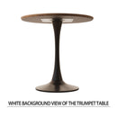 Round Dining Table Set With Tulip Design And 2 Chairs