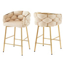 Modern Counter Stools (Set of 2)