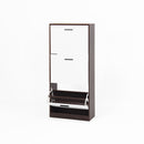 Modern Freestanding Shoe Storage Cabinet With 3 Flip Drawers