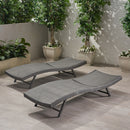 Wicker Chaise With Adjustable Reclining Seats (Set of 2) - Gray