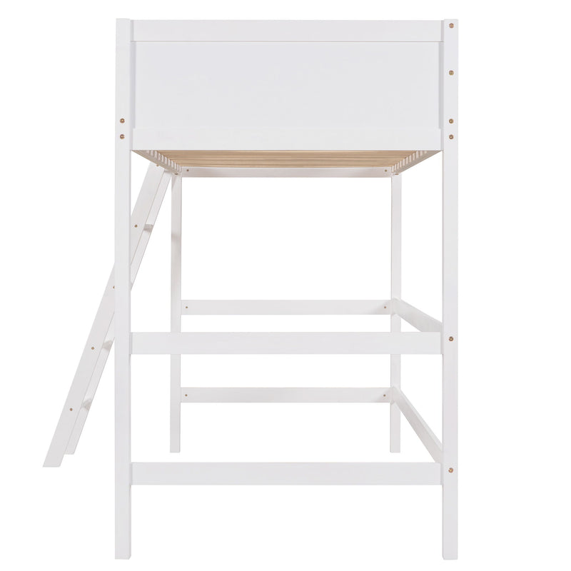 Loft Bed With Ladder