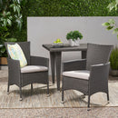 Dimensional Outdoor Dining Chair With Cushion Seat And Iron Frame (Set of 2)