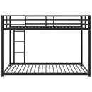 Metal Bunk Bed, Low Bunk Bed With Ladder
