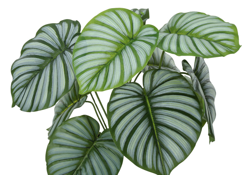 Artificial Plant, 24" Tall, Calathea, Indoor, Faux, Fake, Table, Greenery, Potted, Real Touch, Decorative - Green / Black