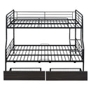 Contemporary Bunk Bed