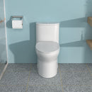 1 Piece Toilet For Bathroom, Dual Flush, Soft Closing Seat - White