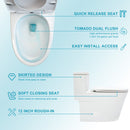 1 Piece Toilet For Bathroom, Dual Flush 1.24 / 1.43 Gpf, Soft Closing Seat - White