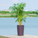 Large Self Watering Flower Pot With Drainage Holes & Inner Tray