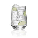 Tritan Lexington - Leadingware Unbreakable Wine Glass Plastic, 17Oz (Set of 4) - Clear