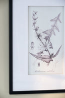 Botanical Wall Art Prints, Home Decor For Living Room Dining Room, Bedroom, Hallway (Set of 4) - White / Black