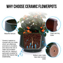 Ceramic Flowerpot, Planter For Patio, Garden, Windowsill (Set of 3) - Antique Green