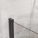 Pivot Shower Door, Tempered Glass, Semi Frameless