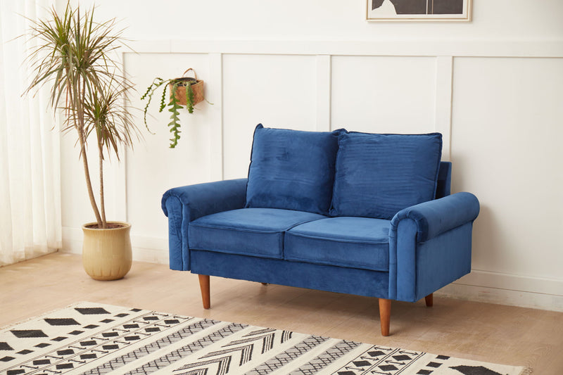 Graceful Design Plush Comfort Loveseat