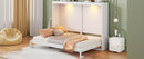 Murphy Wall Bed Modern Design With LED Lights