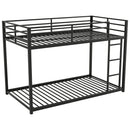 Metal Bunk Bed, Low Bunk Bed With Ladder