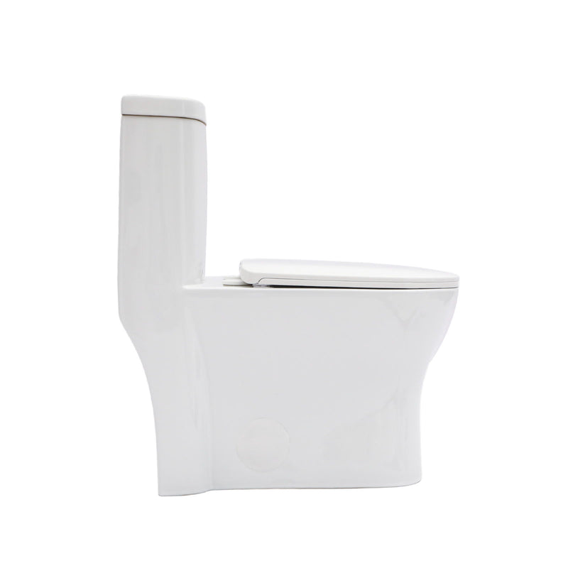 1 Piece Toilet For Bathroom, Dual Flush 1.22/1.6 Gpf, Soft Closing Seat - White