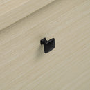 Rattan 2 Door 3 Drawer Cabinet, Suitable For Bedroom - Natural