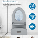 1 Piece Toilet With Tornado Flush, Dual Flush, And ADA Height Comfort Chair