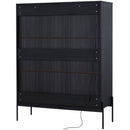 Modern Minimalist Style LED Curio Cabinet With Tempered Glass Door, Metal Legs