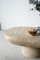 Organic Design Oval Coffee Table