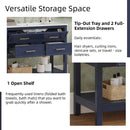 Bathroom Vanity With Ceramic Sink, Tip Out Tray & 2 Full Extension Drawers