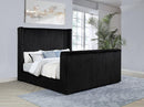 Centergrove - Upholstered Wingback TV Bed