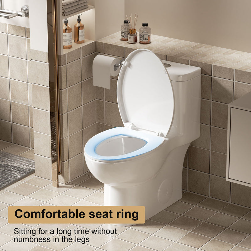 1 Piece Toilet With Tornado Flush, Soft Closing Seat