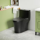 1 Piece Toilet With Dual Flush And Soft Closing Seat