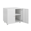 Office Furniture Copier Cabinet 2 Door Steel Copier Stand Mobile Pedestal File Printer Stand