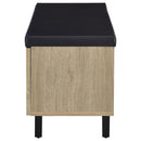 Brixton - 2-Door Padded Entryway Shoe Storage Bench